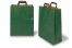 Tragetaschen aus Papier mit flachen Trageriemen - grün, 320 x 140 x 420 mm | PIT Packaging.de | Briefumschlaegebestellen