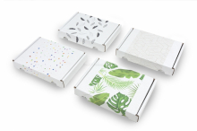 Maxibriefkartons mit Aufdruck | PIT Packaging.de | Briefumschlaegebestellen