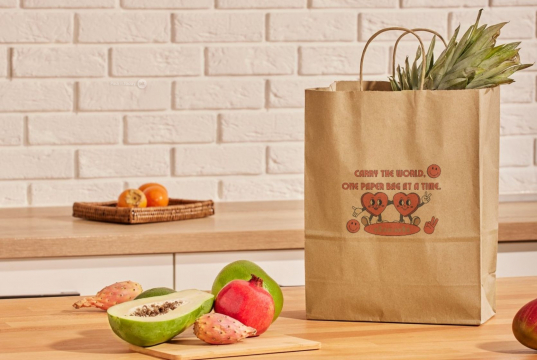  Tragetaschen aus Papier mit Kordelhenkel | PIT Packaging.de | Briefumschlaegebestellen