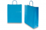 Tragetaschen aus Papier mit gedrehten Papierkordeln - blau, 320 x 120 x 410 mm, 100 Gramm | PIT Packaging.de | Briefumschlaegebestellen