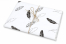 Seidenpapier - als Geschenkpapier | PIT Packaging.de | Briefumschlaegebestellen