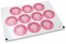 Kommunion-Verschlusssiegel - mi primera comunión rosa Kreuz | PIT Packaging.de | Briefumschlaegebestellen