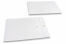Kartonverpackung mit Kordelverschluss - 229 x 324 mm, weiß | PIT Packaging.de | Briefumschlaegebestellen