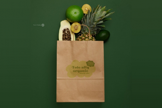  Tragetaschen aus Papier mit Kordelhenkel | PIT Packaging.de | Briefumschlaegebestellen